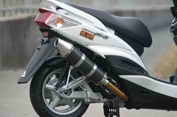 カメレオン様用 カメレオンファクトリー パラライザーⅢ のパーツレビュー